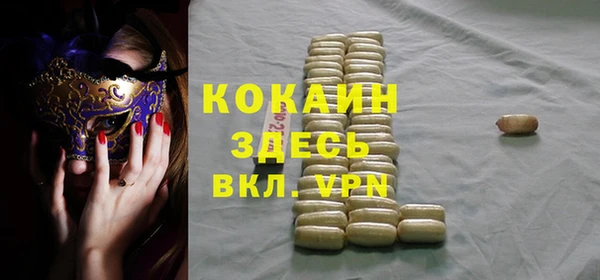 прущие грибы Вязники